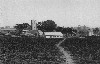 The church from afar.